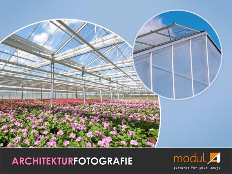 Architekturfotografie eines Gewächshaus von innen mit bunten Blumen und blauem Himmel