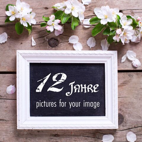 12 Jahre Fotostudio modul A in Leopoldshöhe