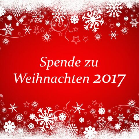 Fotograf & Fotostudio in Leopoldshöhe spendet zu Weihnachten