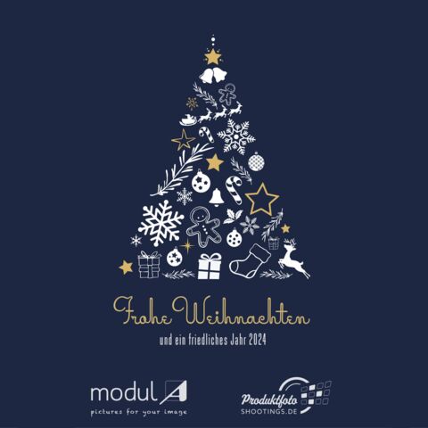 modul A wünscht frohe Weihnachten und einen guten Rutsch